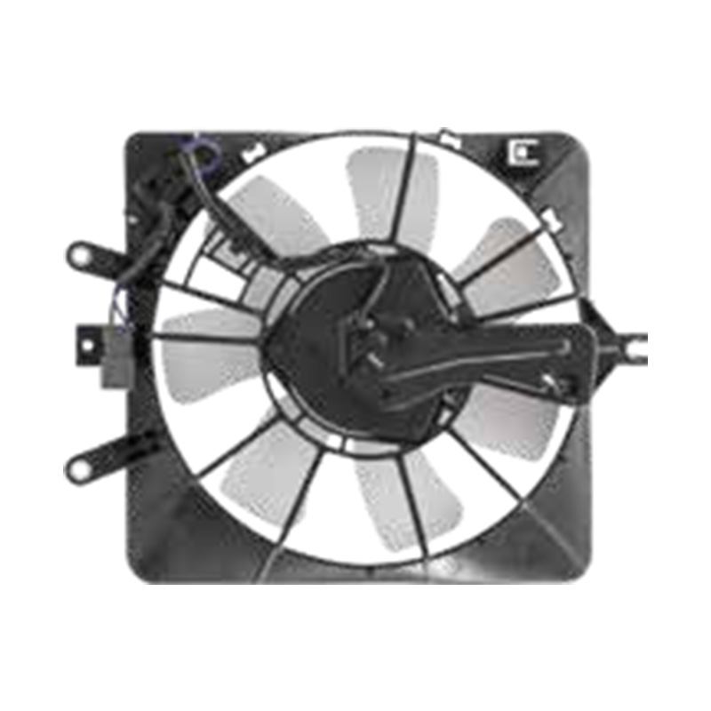 健身/爵士乐 (RAD FAN) 2007-2008 CFHS54
